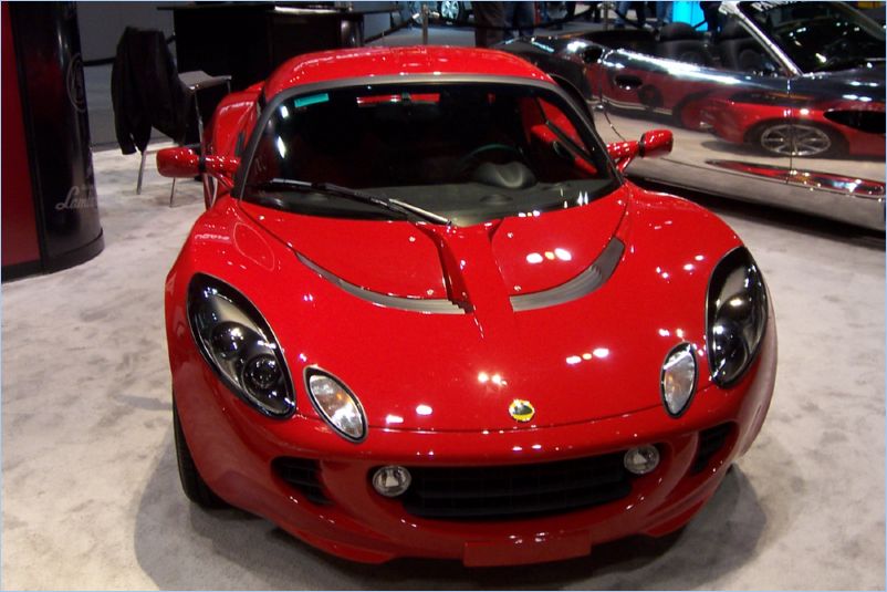 Lotus