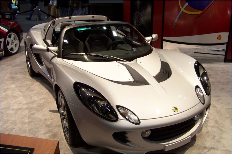 Lotus