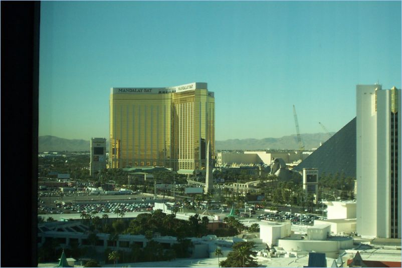 Hotel View