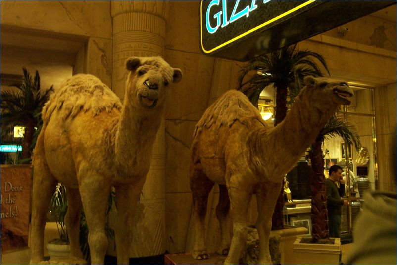 Luxor Inside