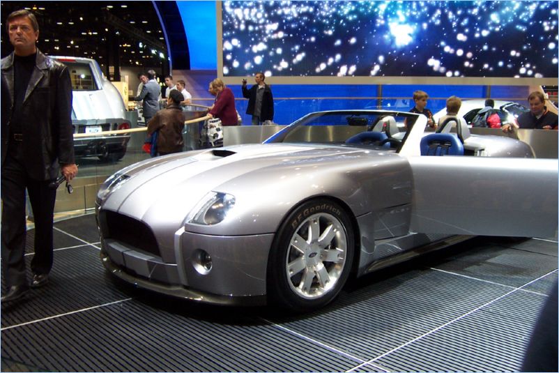 06 Cobra Concept