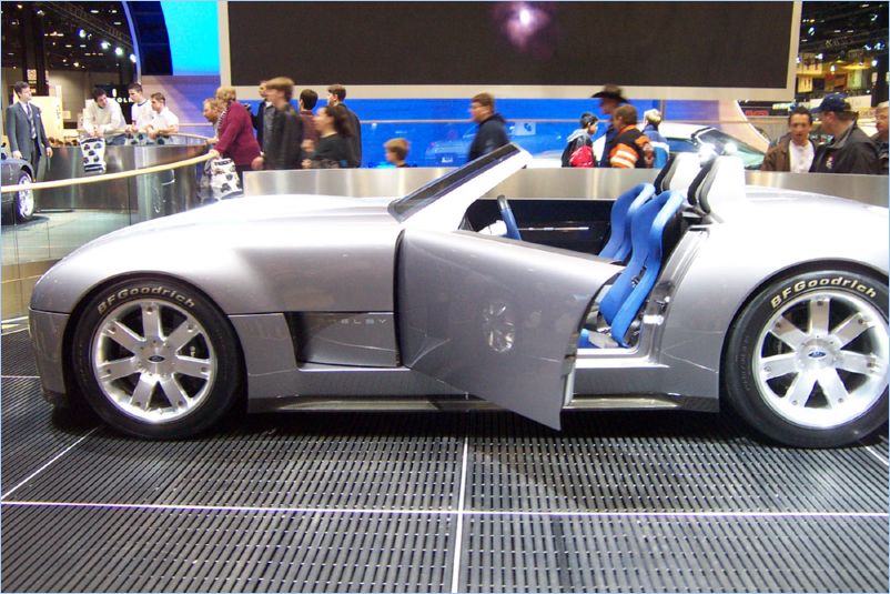 06 Cobra Concept