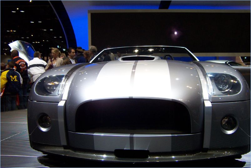 06 Cobra Concept