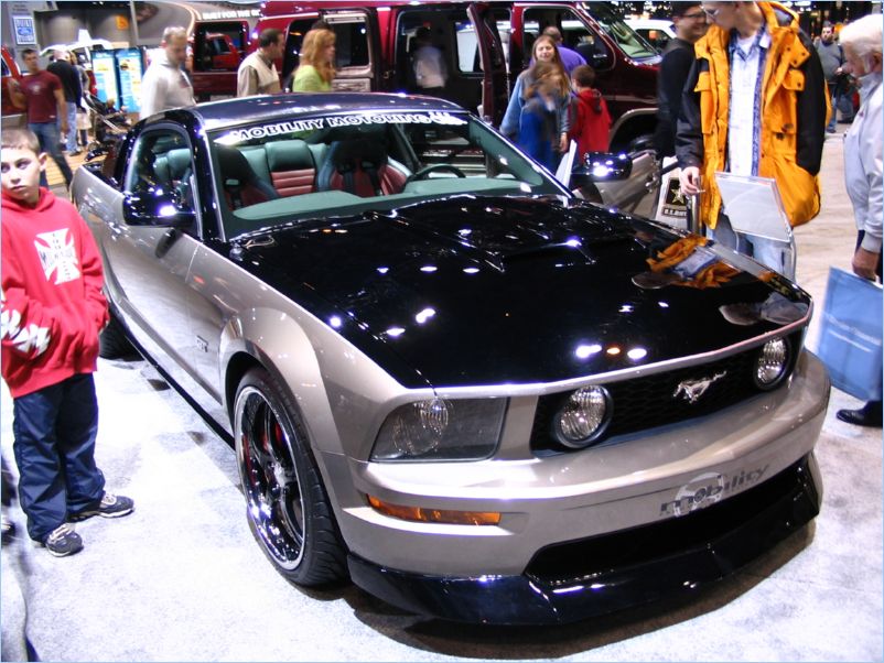Mustang
