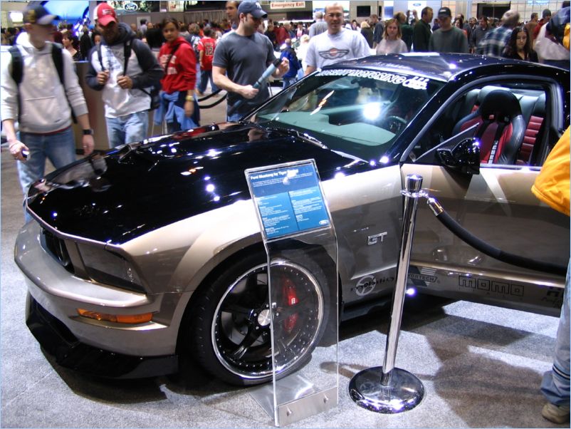 Mustang