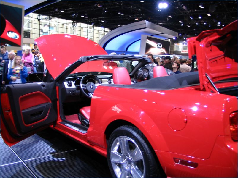 Mustang