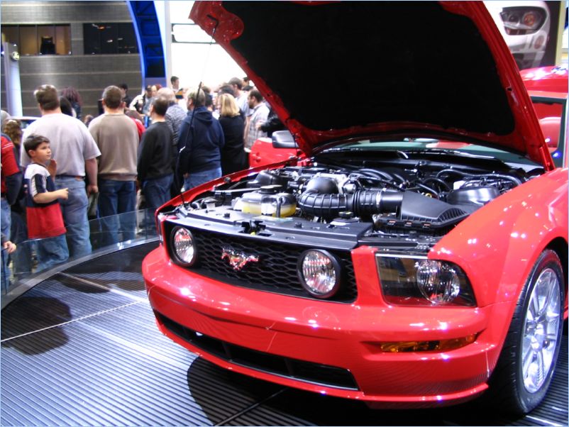 Mustang