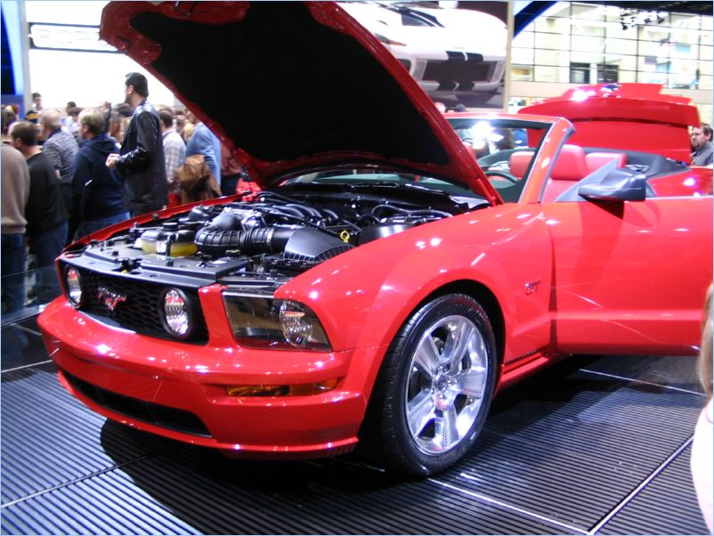 Mustang