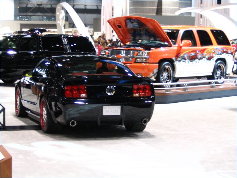 Mustang