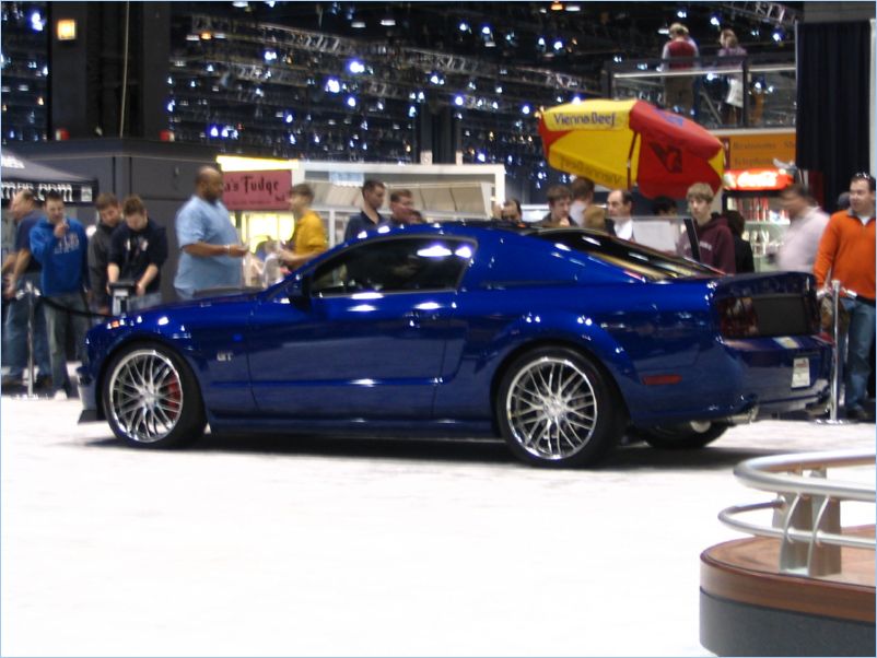 Mustang