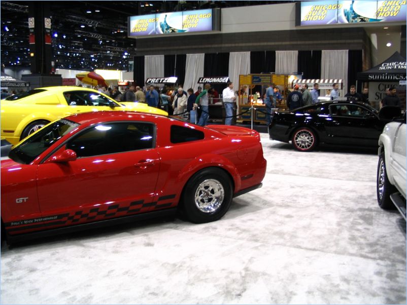 Mustang