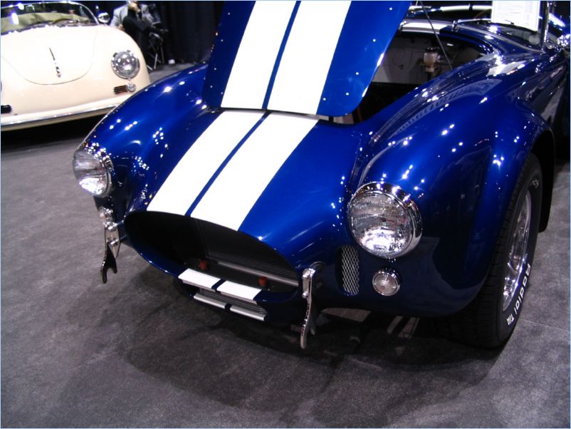 Cobra