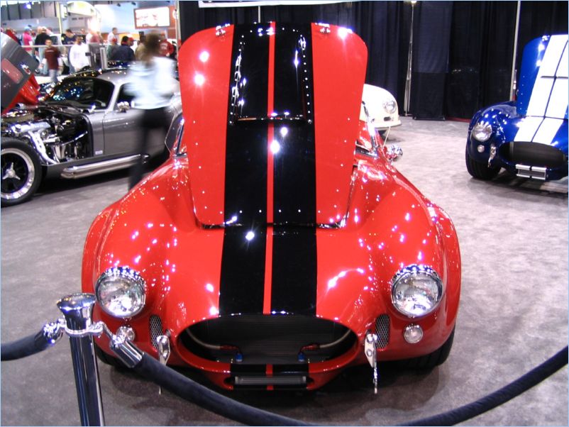 Cobra