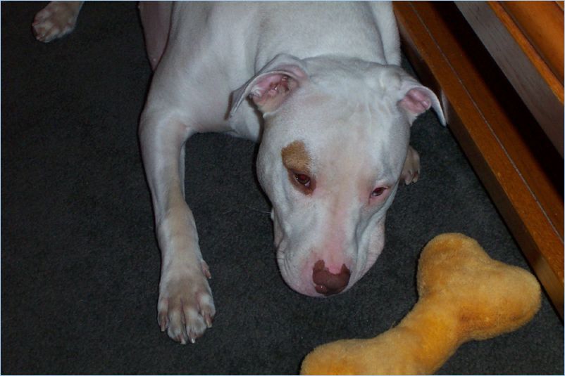 Odin
