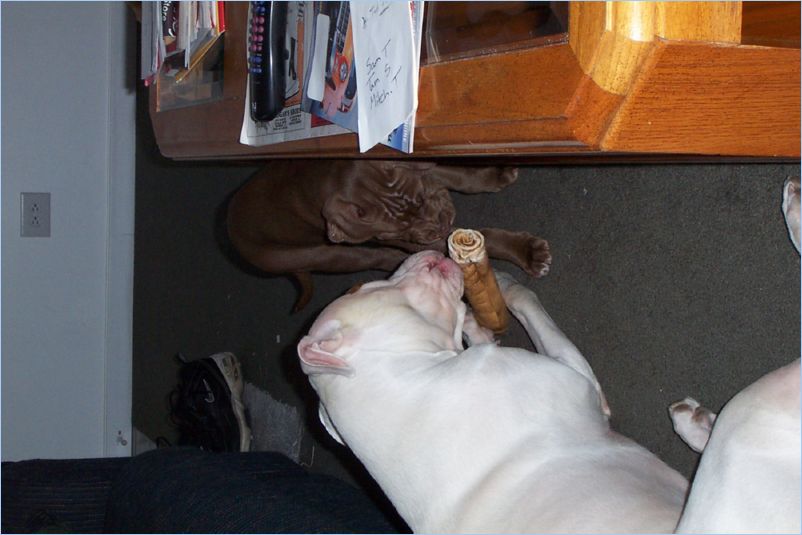 Odin and Thor