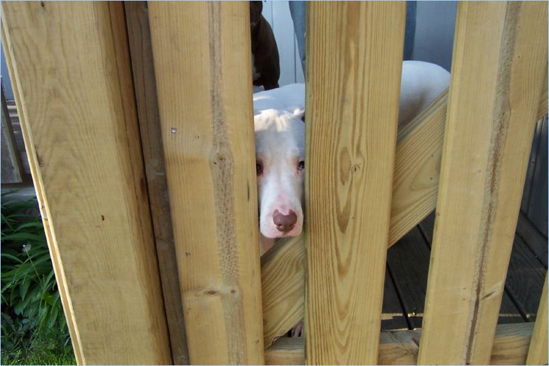 Prison Odin