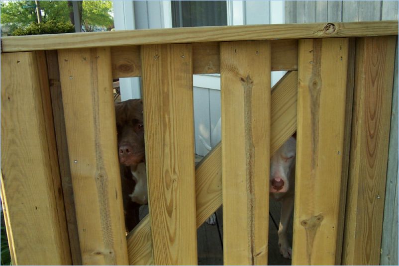 Prison Thor and Odin
