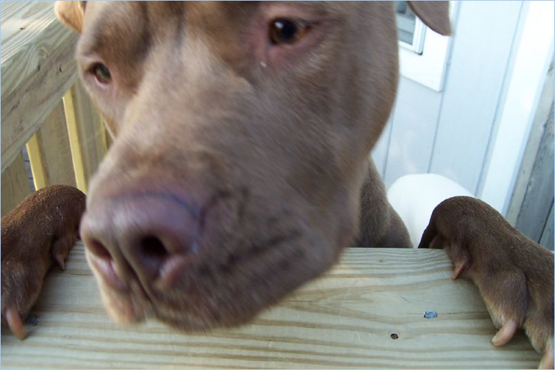 Thor up close