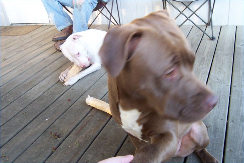 Thor and Odin