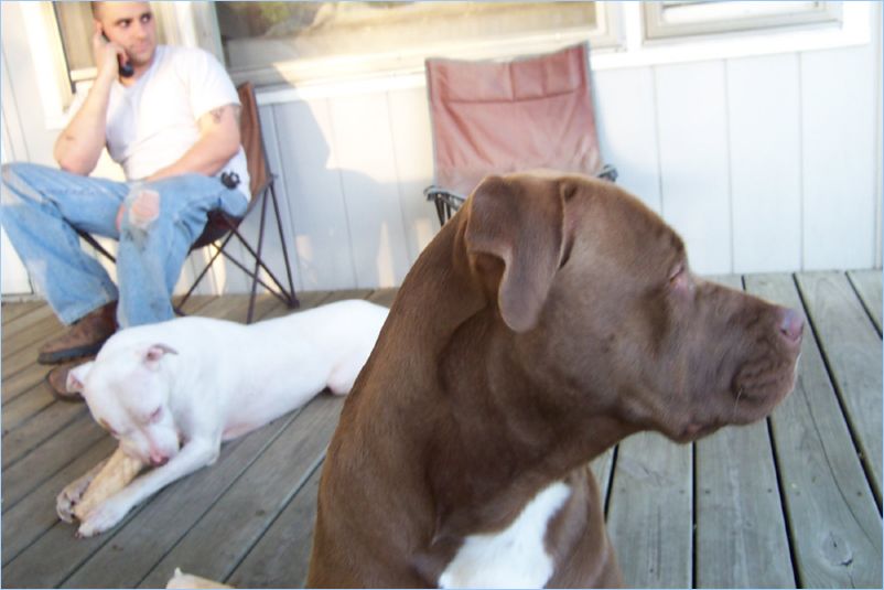 Odin Thor and Zach