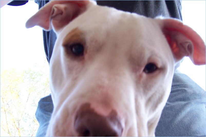 Odin up Close