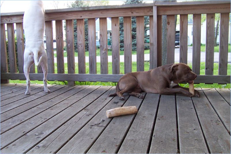 Odin and Thor