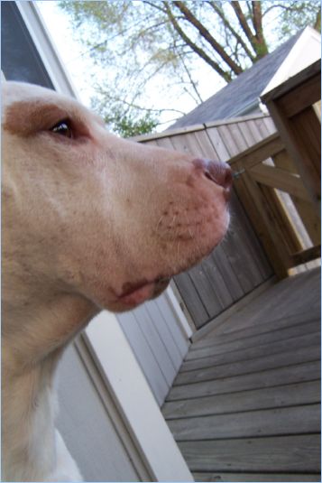 Odin Profile