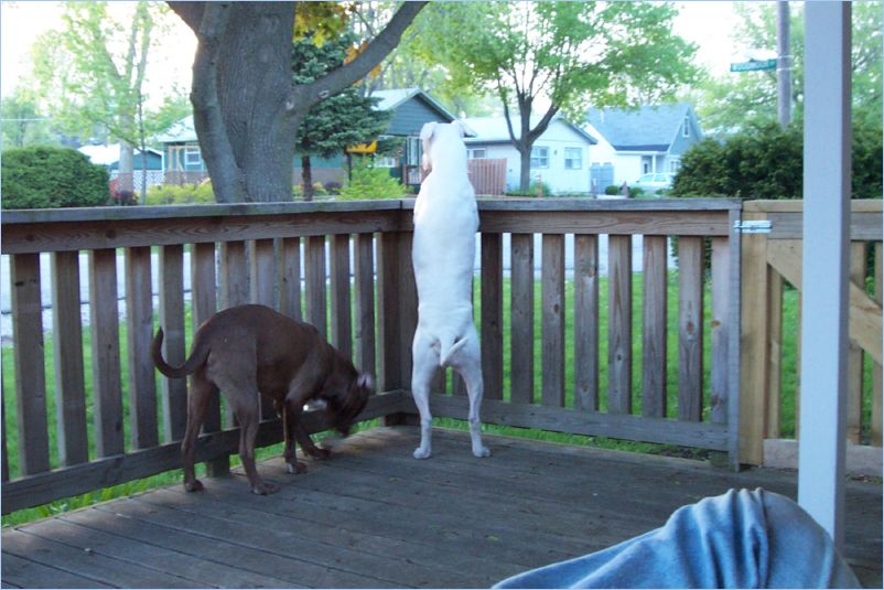 Odin and Thor