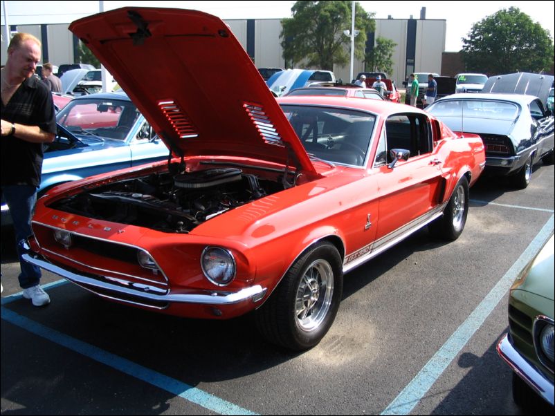 Shelby GT350