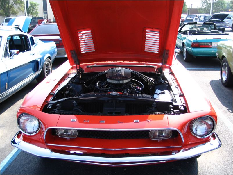 Shelby GT350