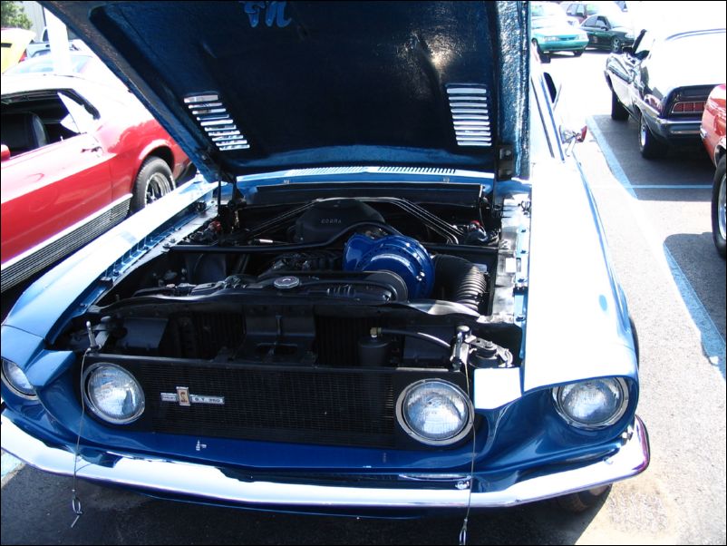 Shelby GT350