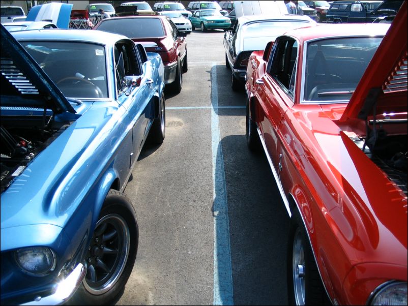 Shelby GT350