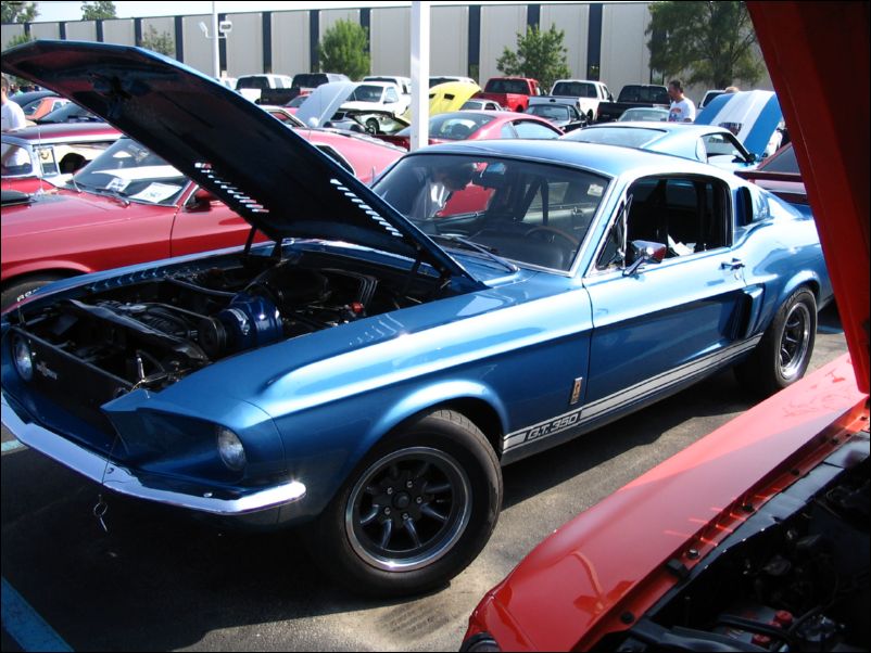 Shelby GT350