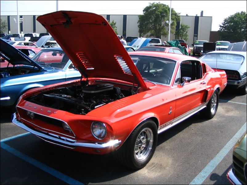 Shelby GT350